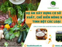 DỰ ÁN XÂY DỰNG CƠ SỞ SẢN XUẤT, CHẾ BIẾN NÔNG SẢN TINH BỘT CÁC LOẠI