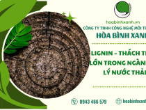 LIGNIN – THÁCH THỨC LỚN TRONG NGÀNH XỬ LÝ NƯỚC THẢI