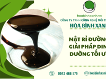 MẬT RỈ ĐƯỜNG – GIẢI PHÁP DINH DƯỠNG TỐI ƯU CHO HỆ THỐNG XỬ LÝ NƯỚC THẢI BẰNG VI SINH VẬT