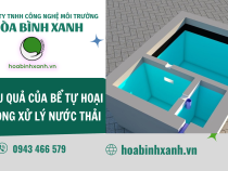 HIỆU QUẢ CỦA BỂ TỰ HOẠI TRONG XỬ LÝ NƯỚC THẢI